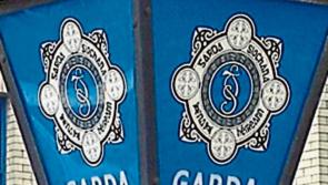 Gardai investigate theft of diesel from machinery parked in county Tipperary field