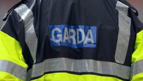 Thieves steal hundreds of euros worth of cleaning equipment and cash from two Co. Tipperary businesses