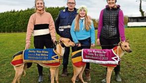 Tipperary dogs bidding to be among the winners at National Coursing Meeting
