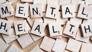 No moves made on Tipperary's mental health services, says committee