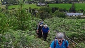 Tipperary walking club heads up Tonntinne 'as Ghaeilge'