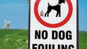 Concern in a Tipperary town over the extent of dog dirt on the streets