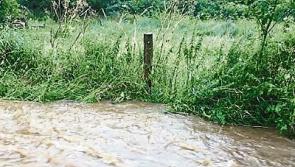 Action demanded on Tipperary flooding