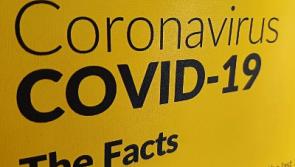 Carrick-on-Suir GAA club postpones celebration for teams of the past due to coronavirus threat