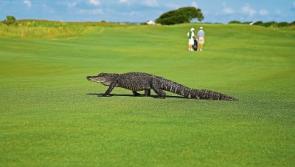 FORE! - Tipperary golfers can carry on playing but beware and stay safe!
