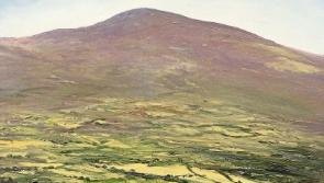 Injured female walker rescued from Co. Tipperary mountain 