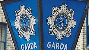 Burglars stole an estimated €10,000 worth of electrical goods from Co. Tipperary store