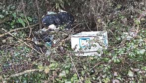 Litter is the common enemy of all Tidy Town groups in County Tipperary