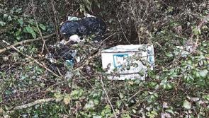 Tipperary littering  a 'criminal act by a tiny minority'