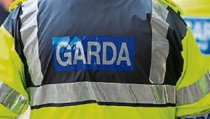 Gardai investigating “reckless” throwing of lifebuoy into the River Suir in Clonmel 