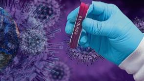 The number of Covid-19 cases in Co. Tipperary rises to 219  