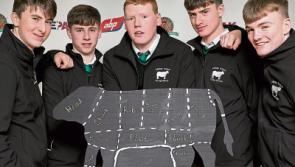 Students from Tipperary school are finalists in national calf rearing contest