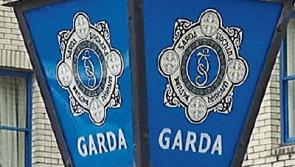 Cork and Limerick people found by gardai at Co. Tipperary house may be prosecuted for  breaching Covid-19 travel restrictions