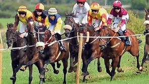 Councillors fear proposed TV betting ad ban would  damage Tipperary's three racecourses 
