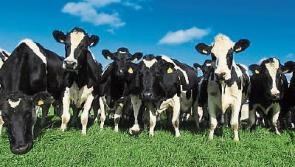 Farmers detail roadmap to easier and more enjoyable farming