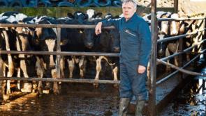 Dairy farming boost as milk markets continue to rally