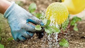 Irish Water appeals to Tipperary people to continue to conserve water 