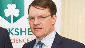 Tipperary trainer Aidan O'Brien wins his sixth English 1000 Guineas with impressive Love