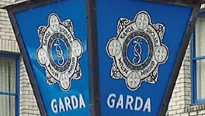 Gardai appeal for the public’s help in tracing thieves who stole jeep from Co. Tipperary farm