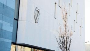 Man jailed for pulling handgun during 21st birthday party on Tipperary/Limerick border 