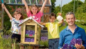 Tipperary communities invited to apply for a Community Seed Library 