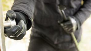 Jewellery stolen in Tipperary house burglary&nbsp;