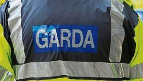 Gardai investigate lunchtime theft of gardening equipment from Tipperary house