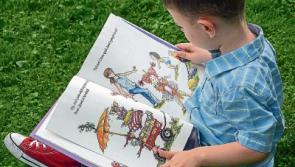 Great idea for one Tipperary Village - A Little Free Book Library