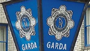 Gardai investigate theft of cocker spaniel dog from Tipperary home