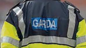 Gardai appeal for witnesses in Tipperary/Kilkenny as man suffers significant arm injury