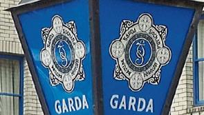 Gardaí trying to trace horse drawn carriage driver involved in Tipperary hit-and-run accident