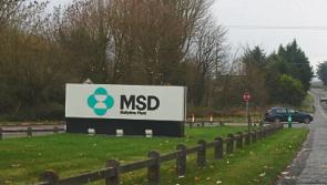 Council grants planning approval for Tipperary pharmaceutical plant expansion that will create 20 new jobs 