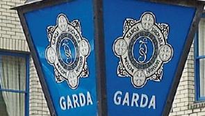 Burglars ransacked Tipperary house last Saturday night