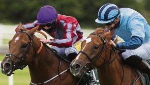 Replacement Flat meeting scheduled for Tipperary Racecourse