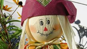 The Scarecrow competition is back in Tipperary again this year