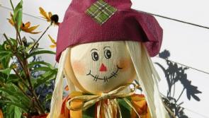 Tipperary villages planning a scarecrow competition - the more outrageous the better!