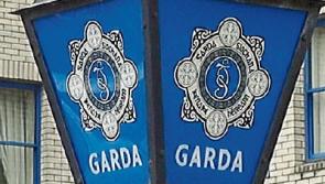 Gardaí investigate break-in at Tipperary building site