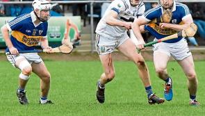 Paddy Carey shines as Sean Treacy's get back again to the Crosco Cup final 