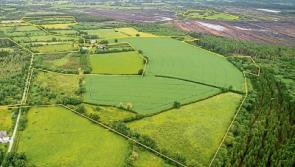 Site of world-famous Derrynaflan Chalice find has been sold