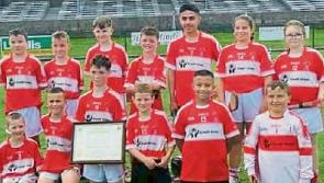 Carrick Davins GAA Club to be featured on RTE News 