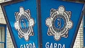 Gardaí investigate car theft and hit-and-run incidents in Tipperary Town last night 