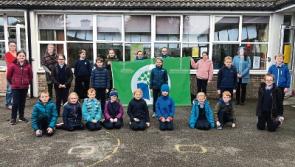 Proud Record: Biodiversity Flag award to remarkable Tipperary primary school