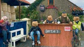 Halloween scarecrow invasion hits Knockavilla, Dundrum and Donaskeigh
