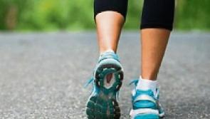 Carrick-on-Suir Lions Club members to walk 500km to raise funds for Christmas Food Appeal