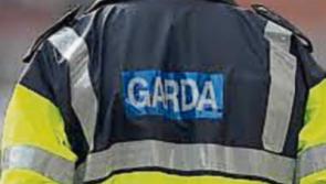 Gardaí renew appeal for public’s help in solving Donohill burglary 