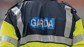 Bale lifter stolen from Tipperary farmyard 