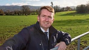 Task force needed to 'drive on' Tipperary campus, says Clonmel councillor