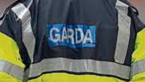 Garda appeal to driver of car that struck child in Tipperary hit-and-run accident 