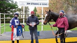 Tipperary trainer Martin Hassett bags nice double at Clonmel Races