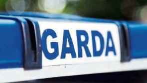 Burglars stole power tools and cleaning equipment from Clonmel shed